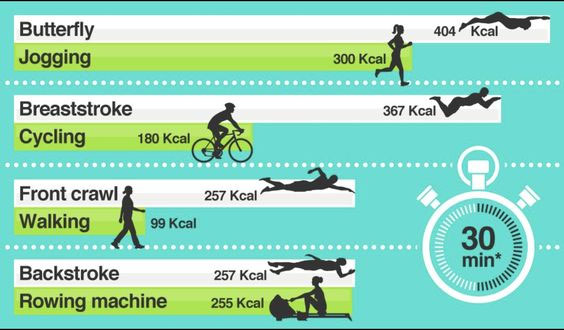 calories burned by swimming