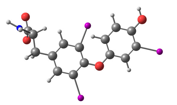 T3  or Triiodothyronine is a thyroid hormone that affects growth and development, heart rate & metabolism