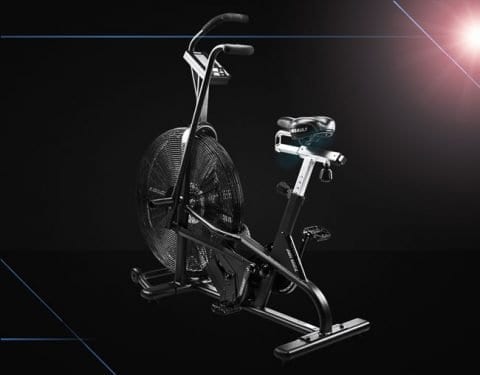 assault air bike weight limit